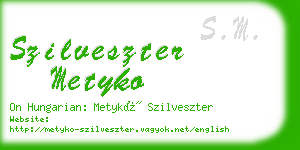 szilveszter metyko business card
